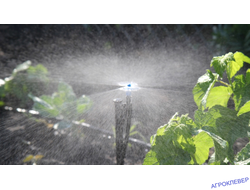 Микроджет 270 град.