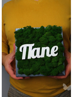 ЖИВАЯ ЭКО-КАРТИНА 1003