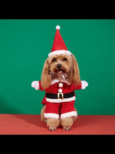 Новогодний костюм Санты для собак и кошек