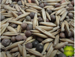 ВИКА-РЖАНАЯ СМЕСЬ 1 КГ КОМПЛЕКСНОЕ УДОБРЕНИЕ