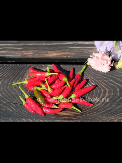 Перец острый Chile Santaka Hot Asian, 10 шт