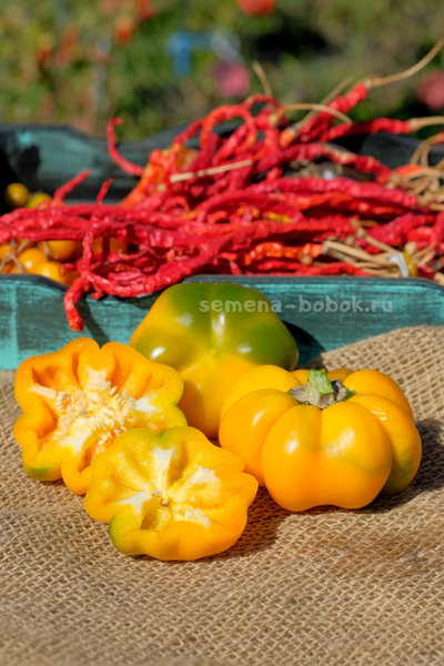 Сладкий перец Тыковка, 10 шт