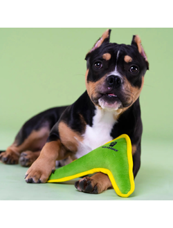 Игрушка Mr.Kranch для собак мелких и средних пород, Бумеранг зеленый