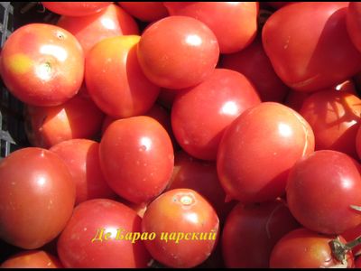 Томат Де Барао царский