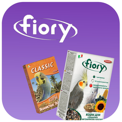 Fiory (Фиори)