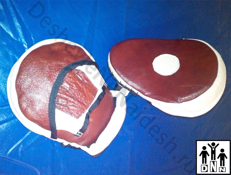 Боксёрские лапы / тайские пэды