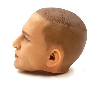 Голова (без шеи) 1/6 (78086) - Damtoys