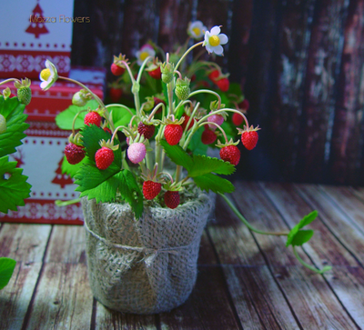 Лесная земляника из полимерной глины.