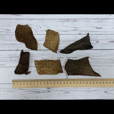 Бараний рубец, 100 гр.