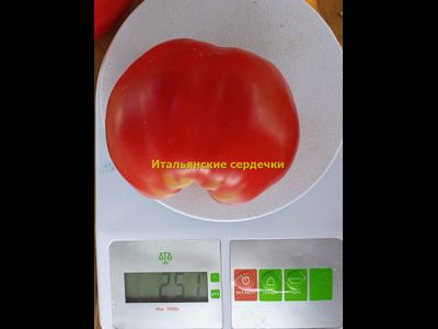 Томат Итальянские сердечки