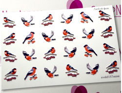 3D Слайдер-дизайн - 157 - Снегири