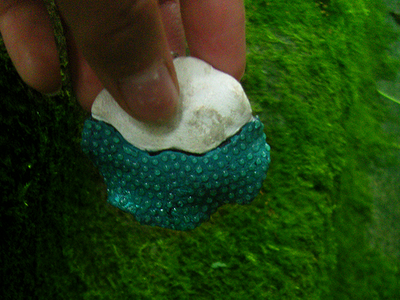 Круглые большие серьги с каплями "Сказки братьев Гримм"