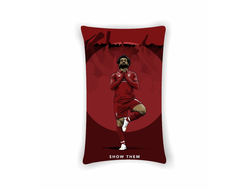 Подушка вертикальная Ливерпуль, Liverpool FC №18