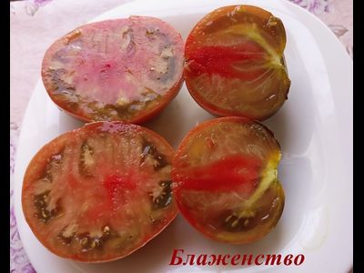 Томат Блаженство