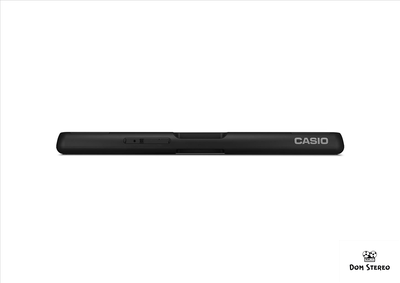 Фото Casio CT-S100 вид сзади