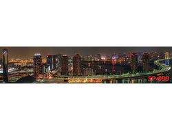 SP-099 ГЛЯНЦЕВАЯ СТЕНОВАЯ ПАНЕЛЬ ALBICO 2800*610*6мм*