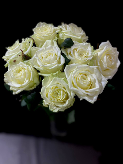 Роза Россия 50 см. 9 шт