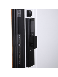 Стальная дверь   Plata (биометрический замок  Smart lock DZ 888)