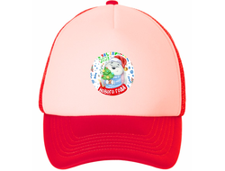 Кепка год Кролика №44