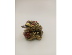 Жаба денежная.