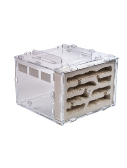 Гипсовый формикарий 4ants Белый Дом Grunt