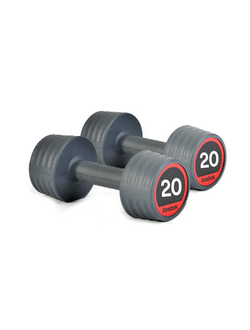 Гантели 20 кг (пара) Reebok RSWT-10070