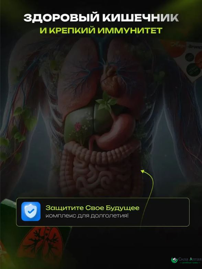 Анге-Бронхус чистые бронхи, новые легкие