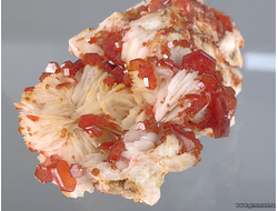 Ванадинит на барите. Марокко.