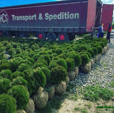 Сетка для комьев 600 - Купить по низким ценам в Крыму!