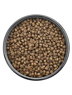 Florida сухой корм для щенков средних пород с ягненком и грушей 1 кг