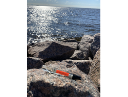 Духи НОТА: УСТА САХАРНЫЕ, 10 мл