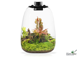 Биобутылка Biolark LED QD205 (217мм х 260мм)