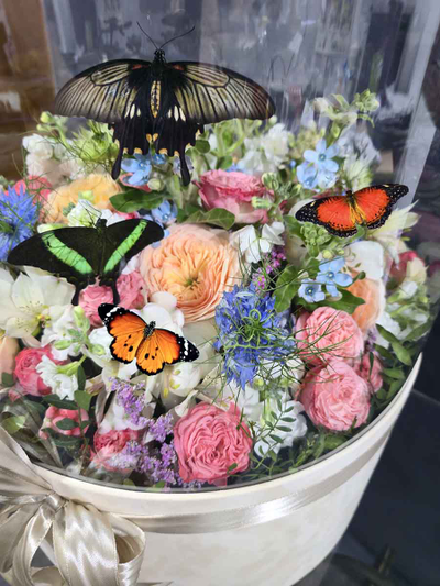 Букет с 19 бабочками в бархатной  коробке №120