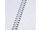 Тетрадь А4- (175х248 мм), 80 л., BRAUBERG, гребень, клетка, обложка пластик, "ОФИС", 401796