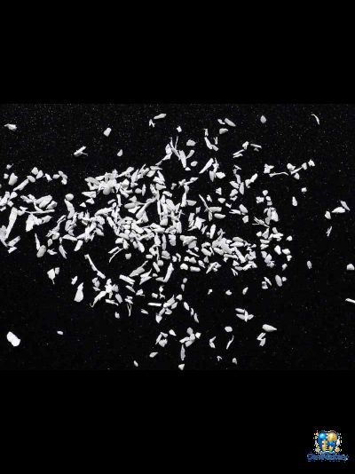 bioOST XENOGRAFT Cortical – Имплантаты для остеопластики