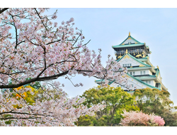 Японский язык