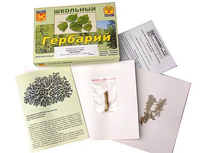 Гербарий &quot;Водоросли. Грибы. Лишайники&quot; (раздаточный)