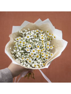 Букет из гипсофилы и ромашек