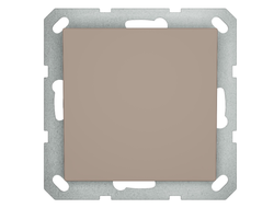 1L101CH Выключатель одноклавишный, шампань