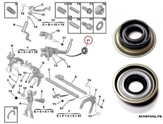 Сальник штока оси КПП [6x30/42x11.3] Citroen , Peugeot оригинал PSA 251522