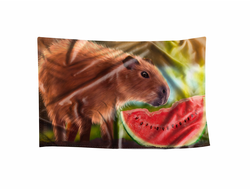 Флаг Капибара, Kapibara-san №27