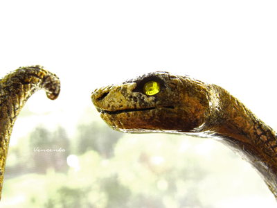 Красивый браслет в виде золотой змейки