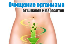 Программа &quot;DETOX&quot; - очищение организма от шлаков
