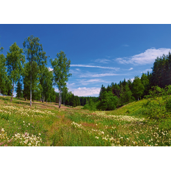 D0500 Простор