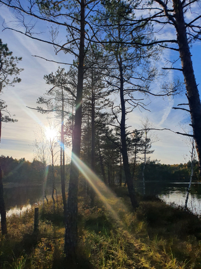 Экскурсия "Загадки Галкинских болот"
