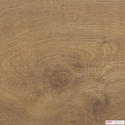 Декор ламината Haro Дуб Сицилия Белый 537377 структура