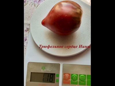 Томат Трюфельное сердце