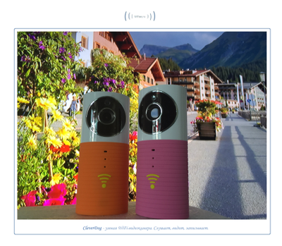 Видеоняня /WiFi видеокамера CleverDog Orange с DVR