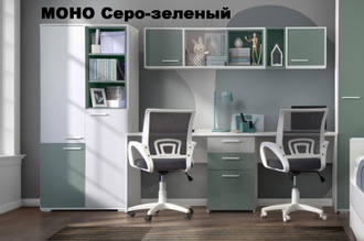 МОНО Шкаф Ш2