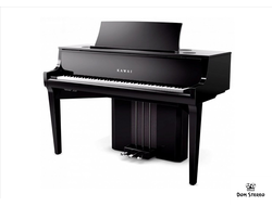 фото - клавишный струнный музыкальный инструмент